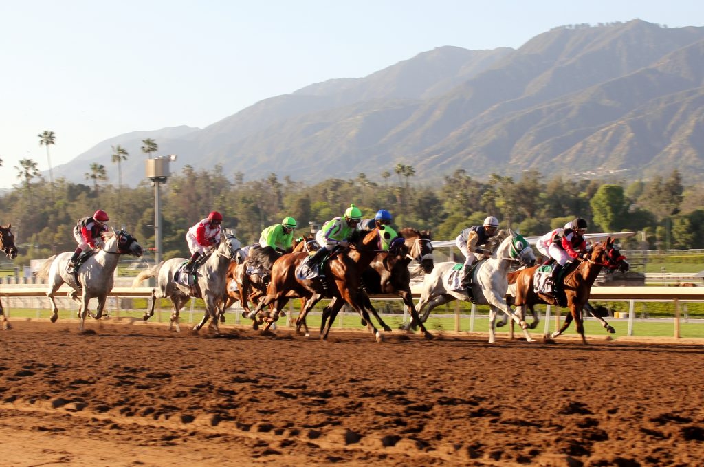 لوس أنجلوس مربط خيل العرب وأبوظبي هي العاصمة