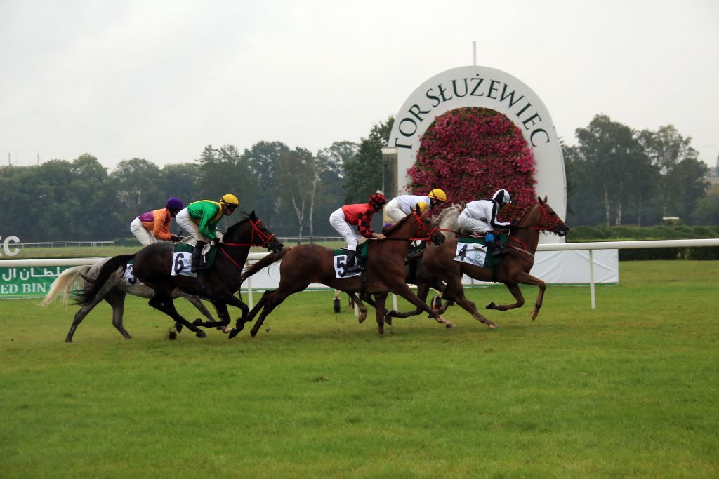 الفرس”شانون كوين ” بطلة الجولة ال11 لكأس زايد ضمن “مهرجان منصور للخيول العربية “