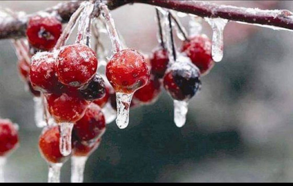 موجة صقيع تضرب لبنان