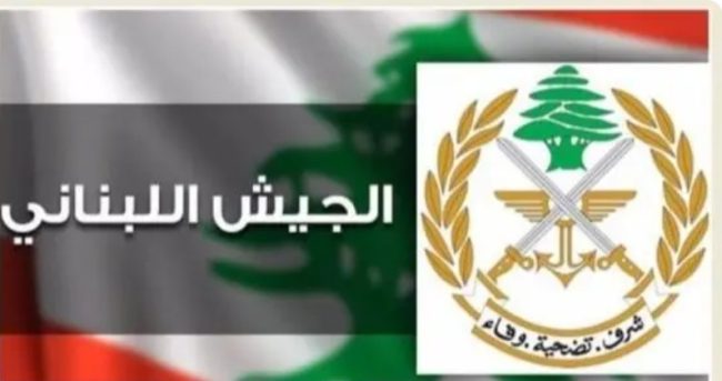 بيان من الجيش عن استهداف عين سعادة… ماذا جاء فيه؟