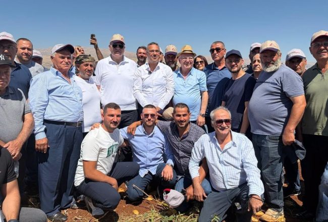 إطلاق صنف بطاطا جديد “فاجا” في سرعين برعاية وزير الزراعة