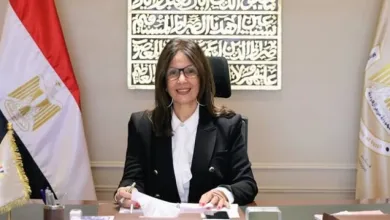 قضية سرقة أدبية تطيح وزيرة الثقافة المصرية