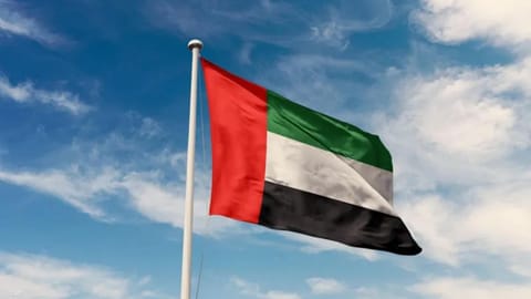 الإمارات: سنفتتح مركز تأشيرات إلكترونية في لبنان الشهر المقبل